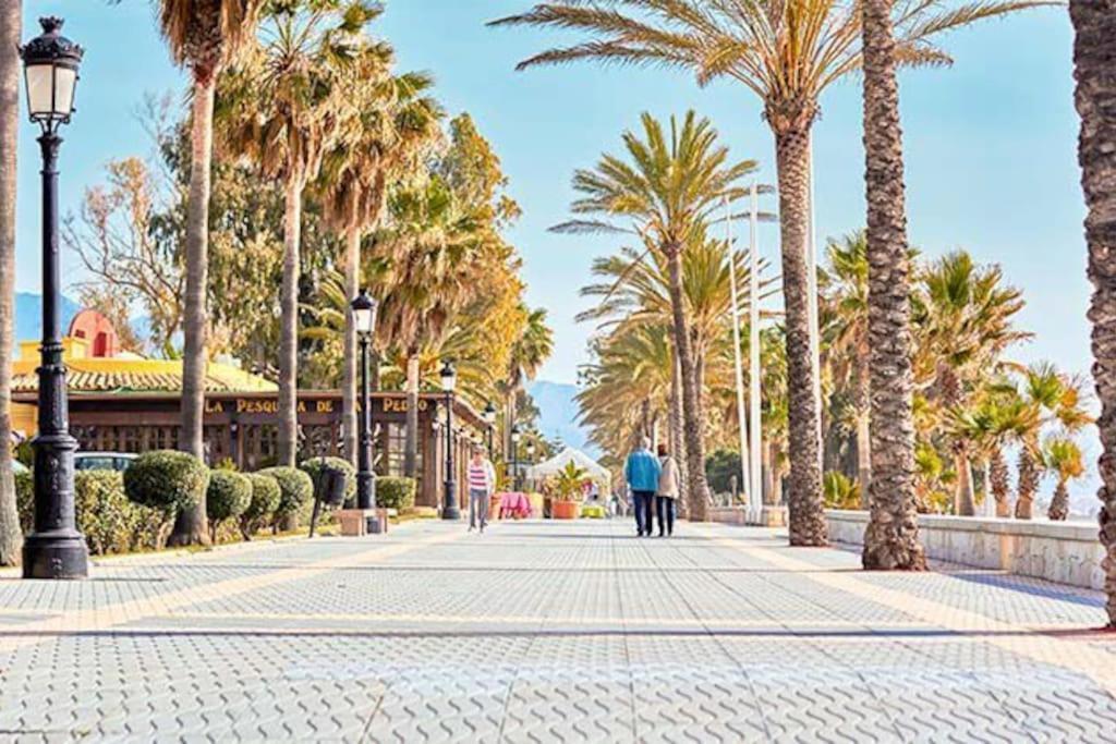 Apartment Spacious And Centrally Located In San Pedro De Alcantara *